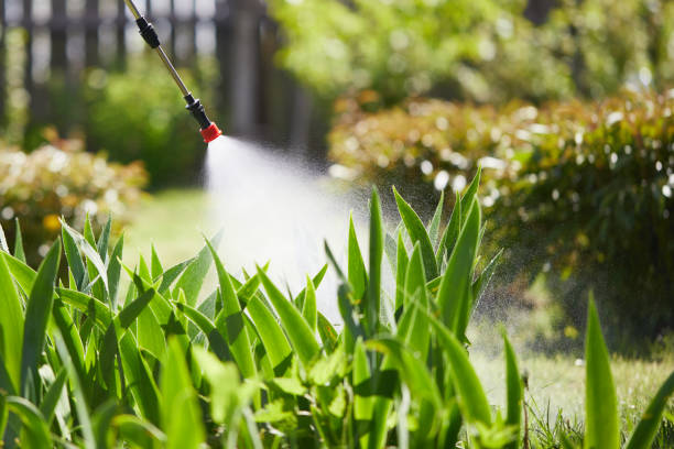 24/7 Emergency Wasp Removal experts in Shively, KY